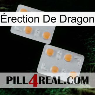 Érection De Dragon 25